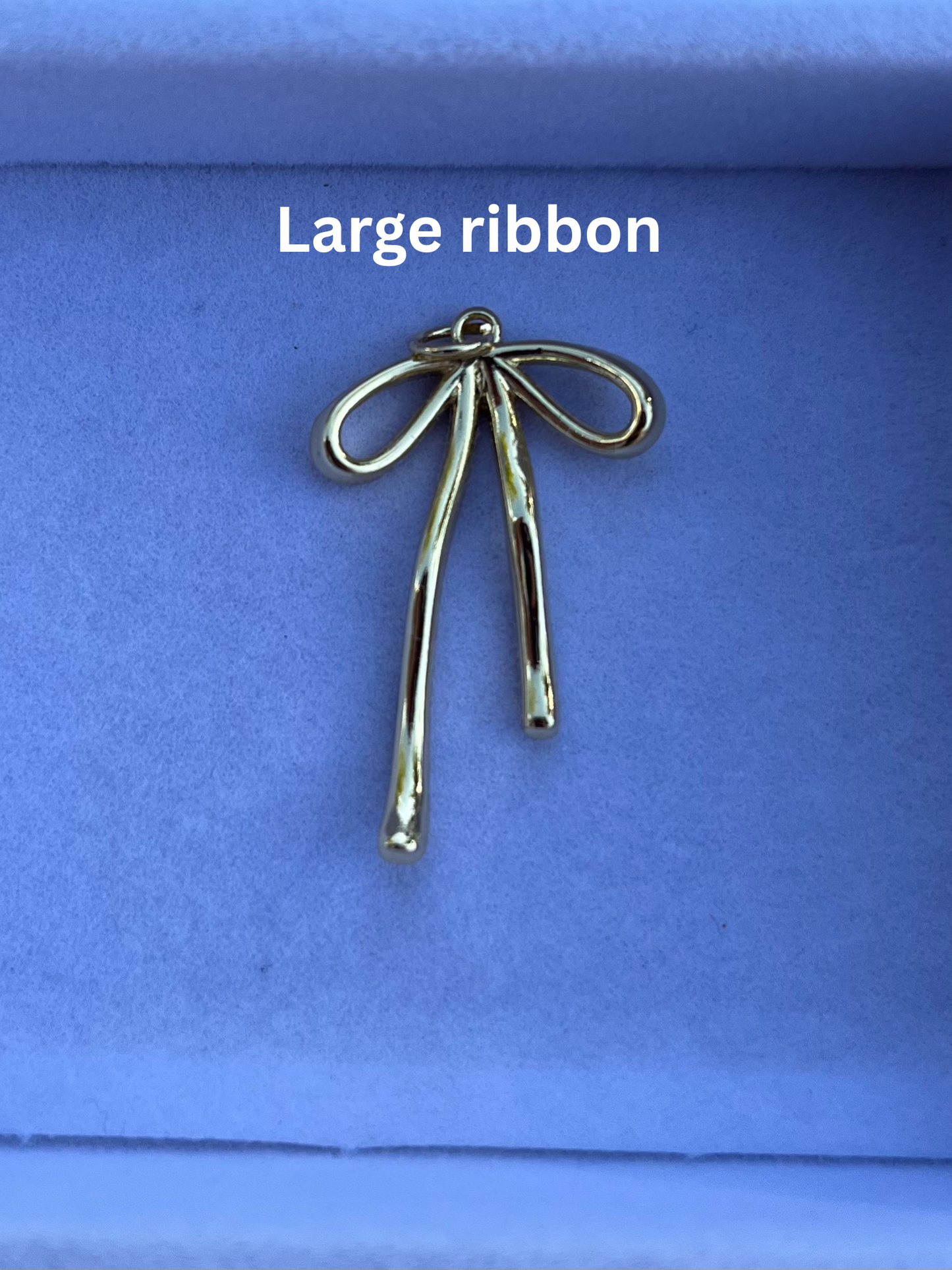 made you look! charm necklace
