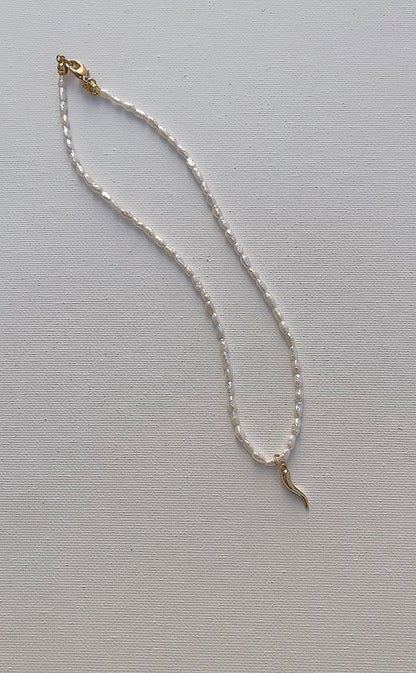 Italian horn necklace